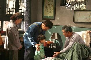 电视剧岁月如金在线观看,重温经典，共鉴人生百态  第2张