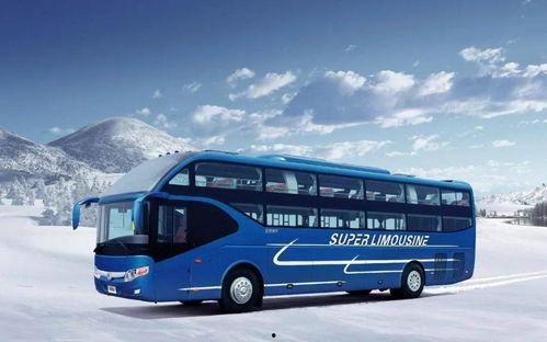 贵州大巴爆料事件始末视频,真相与争议的交织